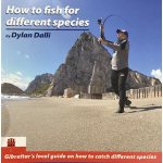 How to fish for different species (by Dylan Dalli)